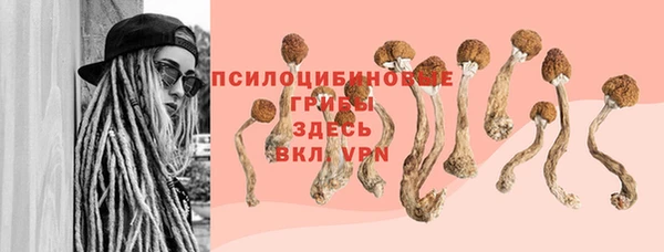 MESCALINE Медногорск