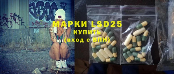 гашик Михайловск